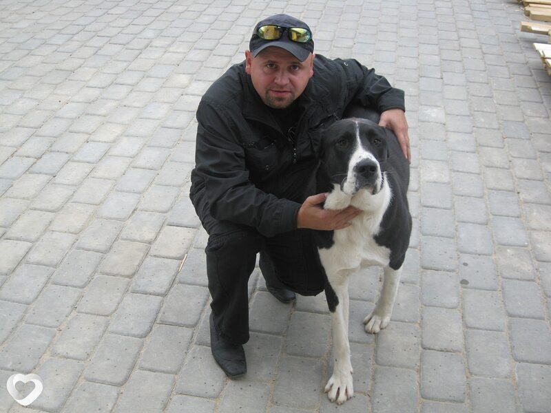 Алексей, 41, Барановичах — анкета №373323