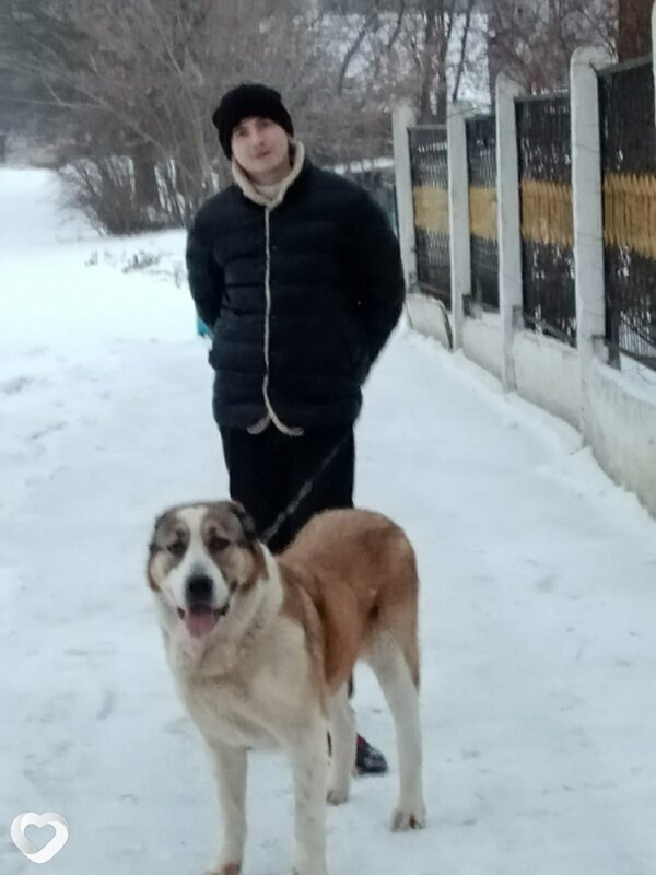 Женька, 36, Витебске — анкета №377480
