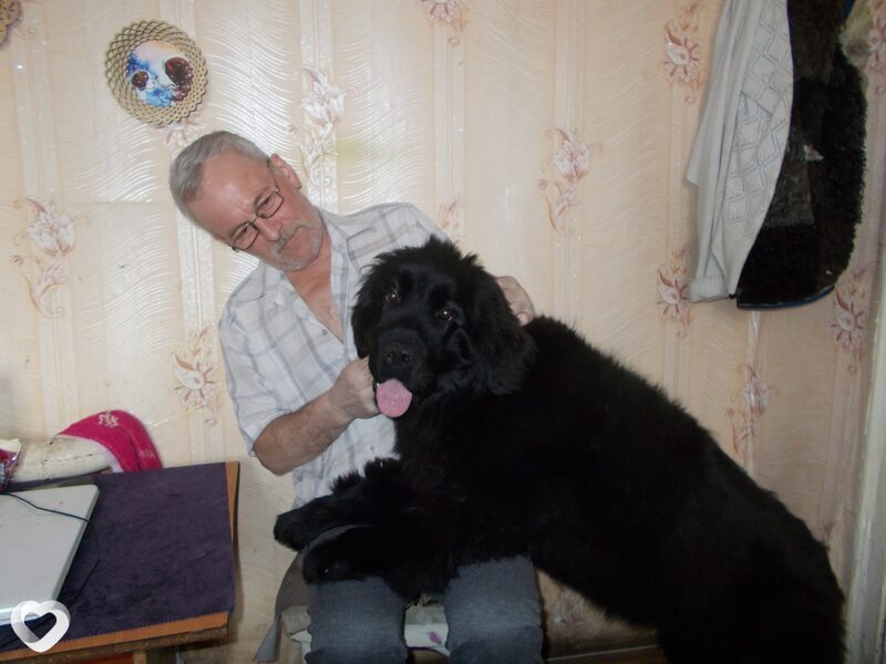 Иван, 67, Новосибирске — анкета №380723