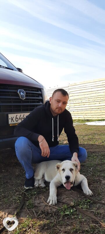 Александр, 37, Чебоксарах — анкета №382031