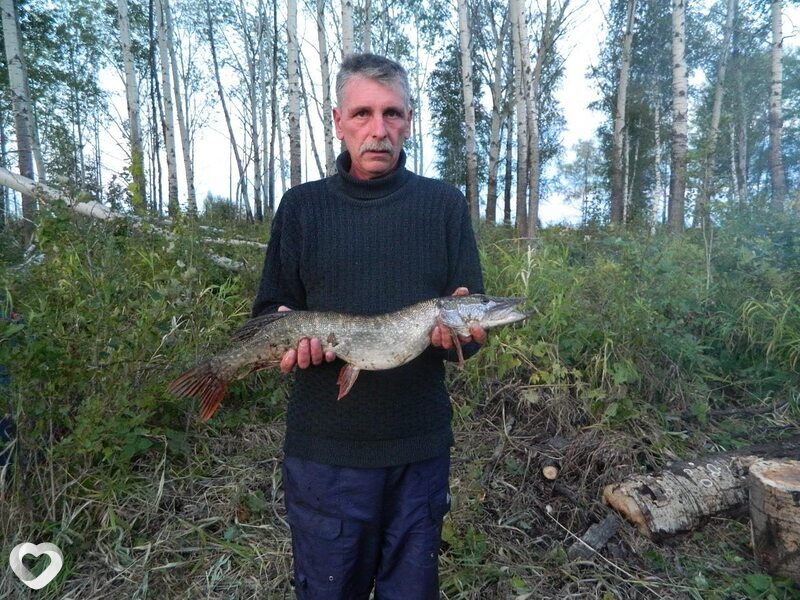 Михаил Андреев, 65, Анапе — анкета №383688