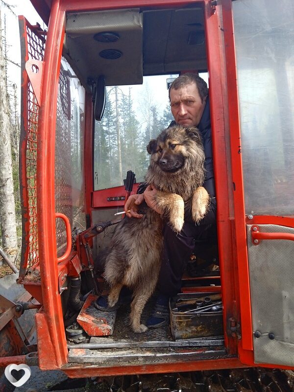 Александр, 44, Братске — анкета №384566
