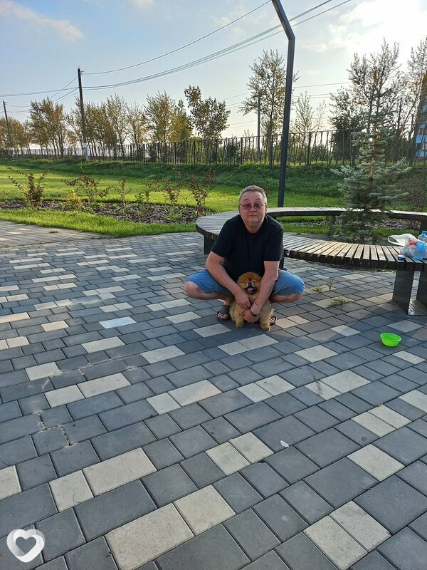 Дарчик, Мурмаши