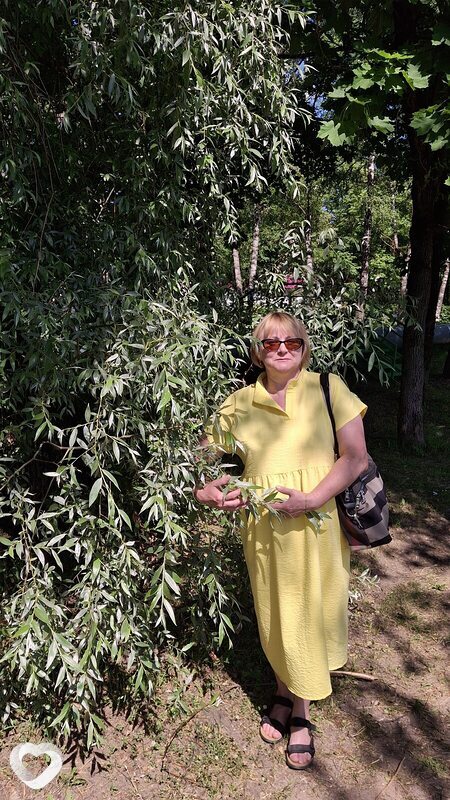 Людмила, 56, Владимире — анкета №386882