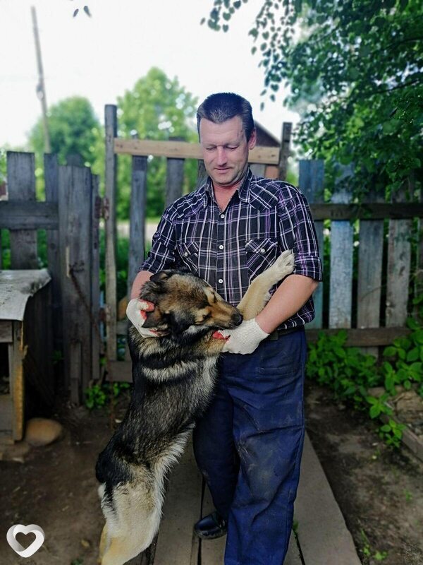 Роман, 48, Ярославле — анкета №386302