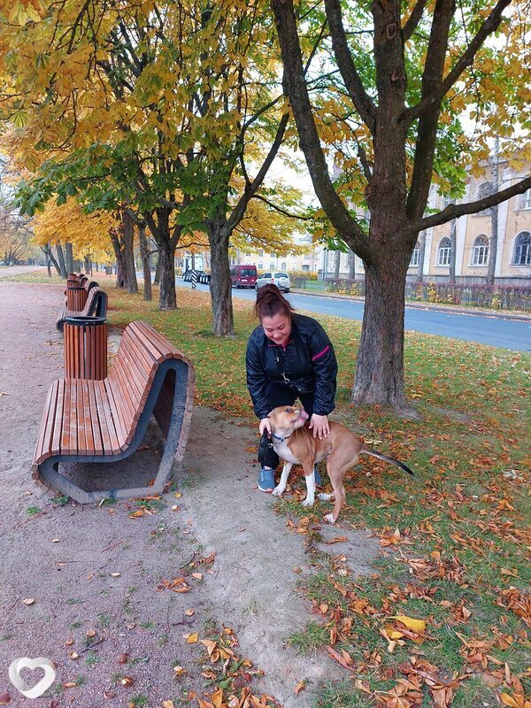 Зоя, 42, Санкт-Петербурге — анкета №385833