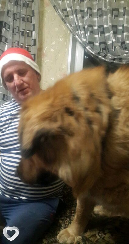 Олег, 58, Нижнем Тагиле — анкета №385769