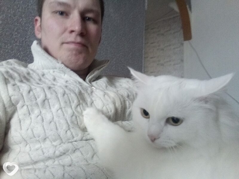 Владимир, 33, Полевское — анкета №390720