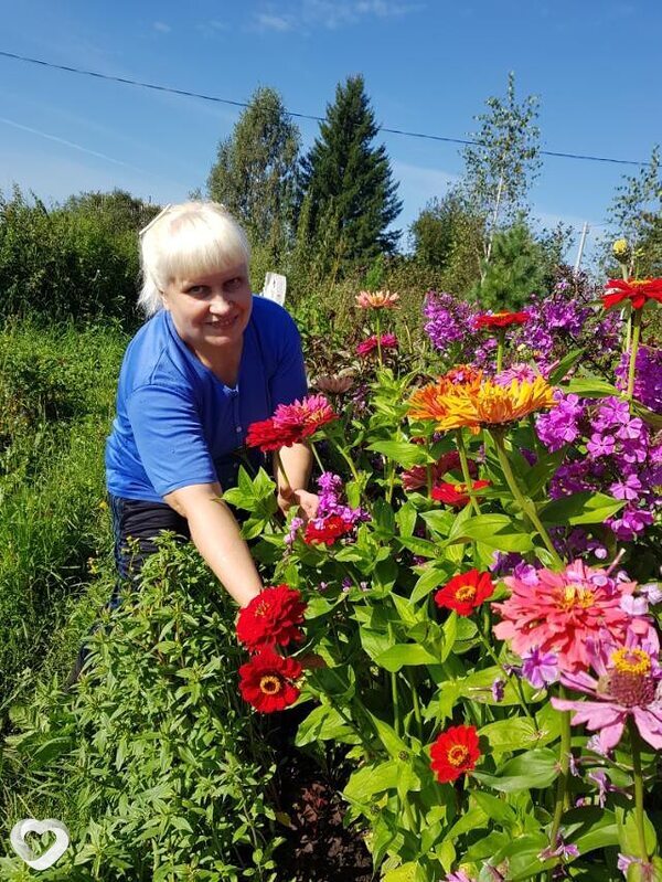 Вера, 61, Красноярске — анкета №391357