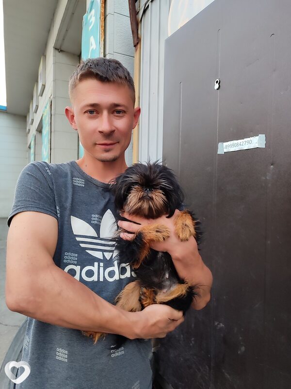 Дмитрий, 35, Хабаровске — анкета №392120