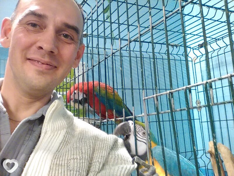 Александр, 49, Лисаковске — анкета №395868