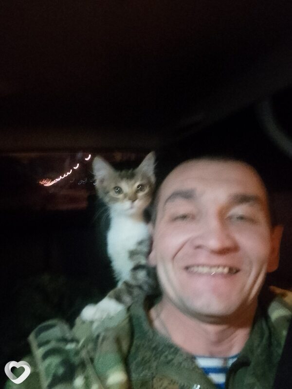 Евгений, 42, Ульяновске — анкета №397113