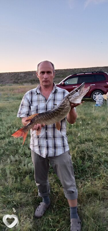 Виктор, 51, Караганде — анкета №399042