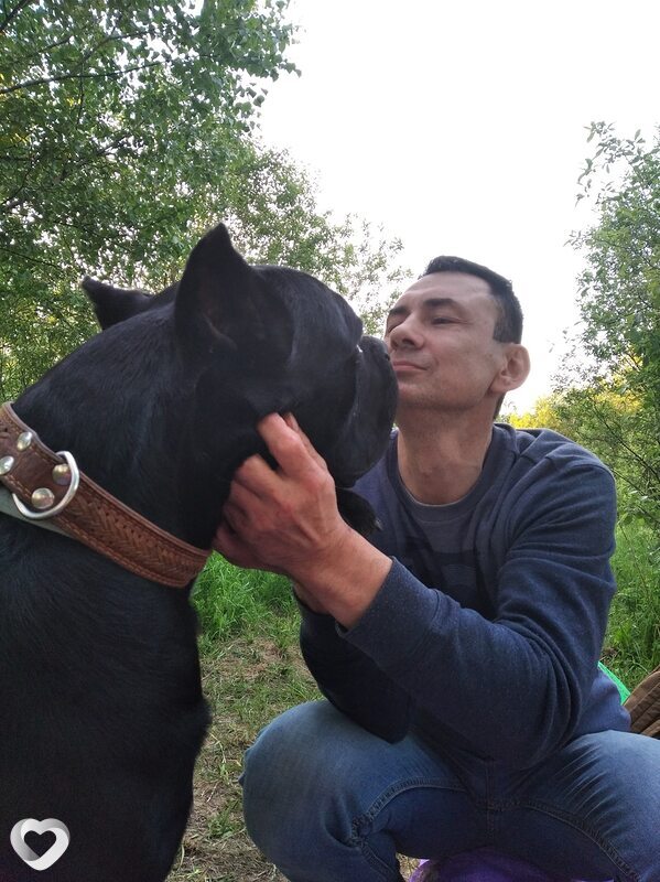Станислав, 57, Ярославле — анкета №405132