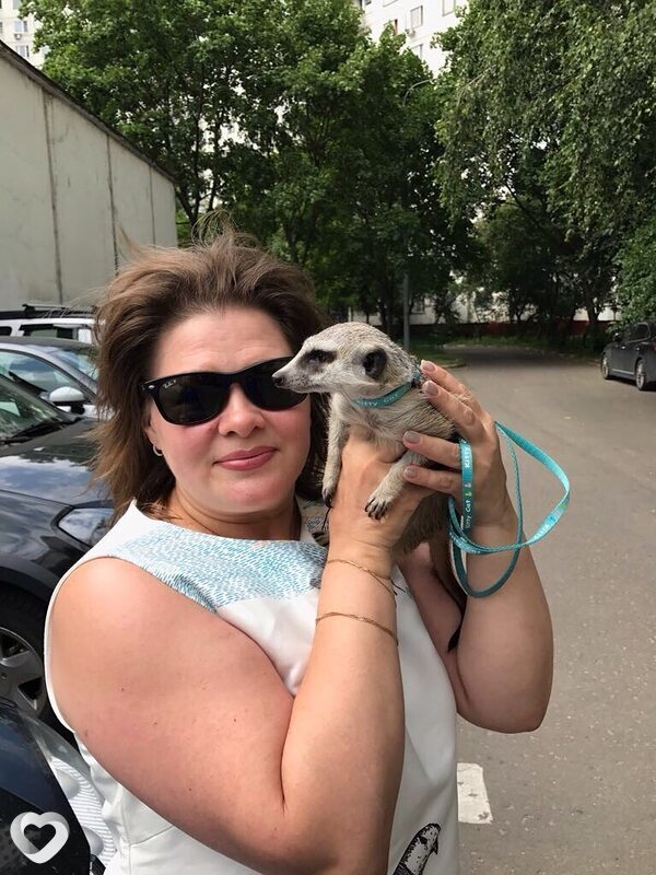 Алена, 58, Мытищах — анкета №405939