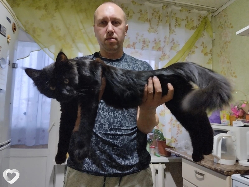 Виталий, 42, Калуге — анкета №407185