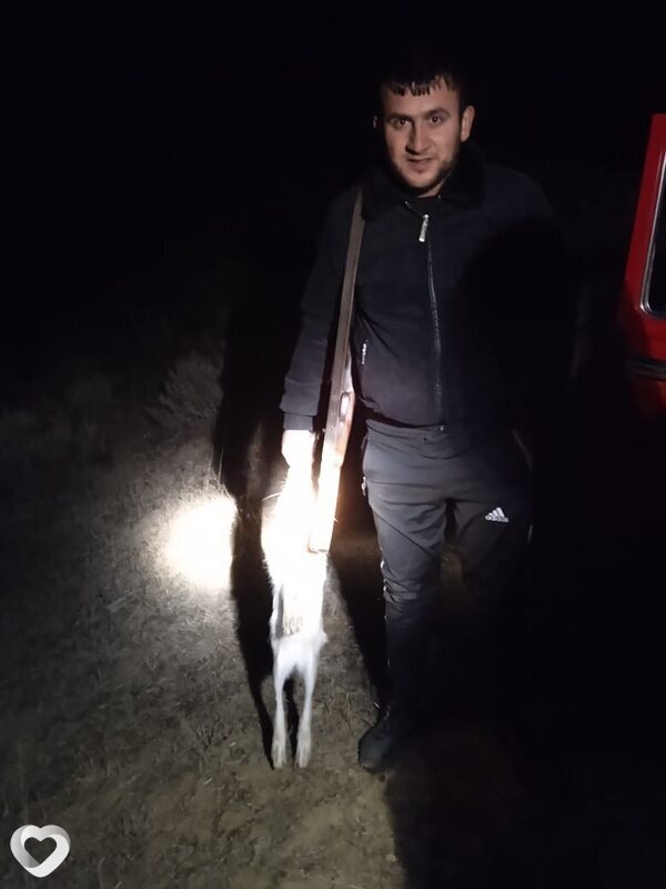 Daniel, 32, Ереван — анкета №408997