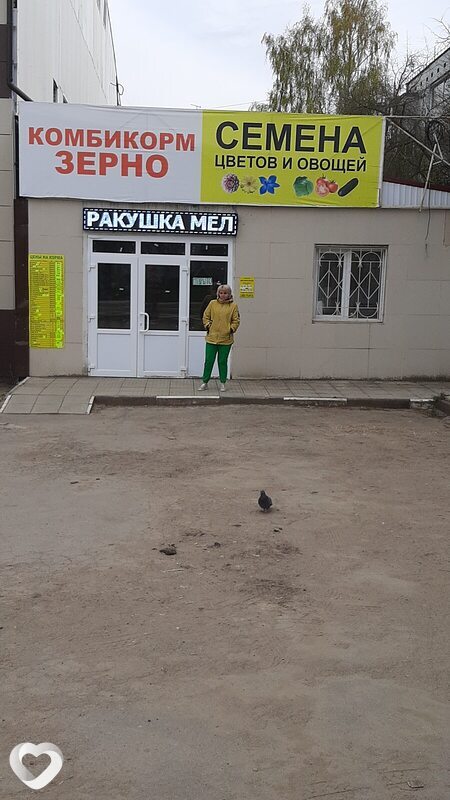 Галина, 54, Щекине — анкета №411566