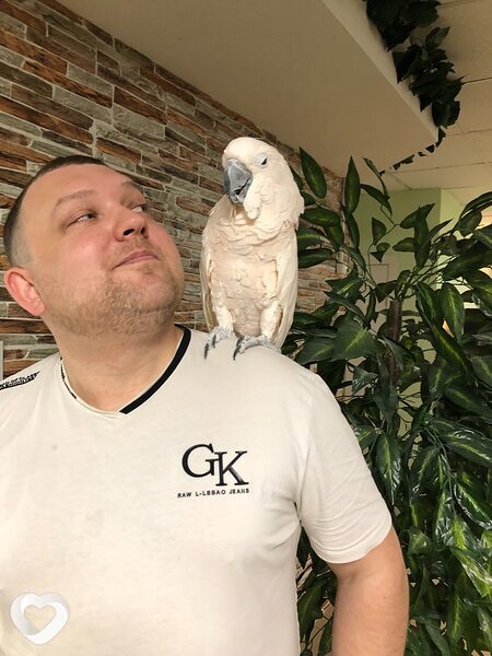 Влад, 38, Саратове — анкета №411476