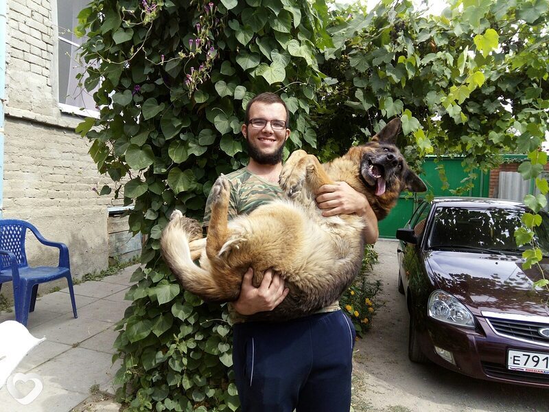 Александр, 29, Ростове-на-Дону — анкета №411977