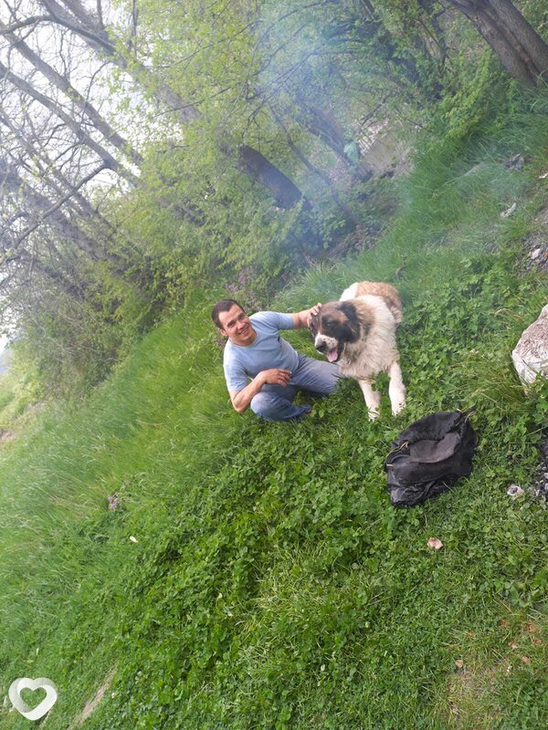 Александр, 42, Новороссийске — анкета №412499