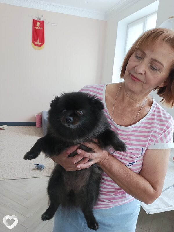 Натали, 63, Минске — анкета №415782