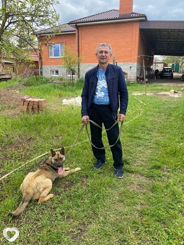 Владимир, 56, Ростове-на-Дону — анкета №417419