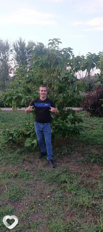 Вячеслав, 32, Поворине — анкета №417403