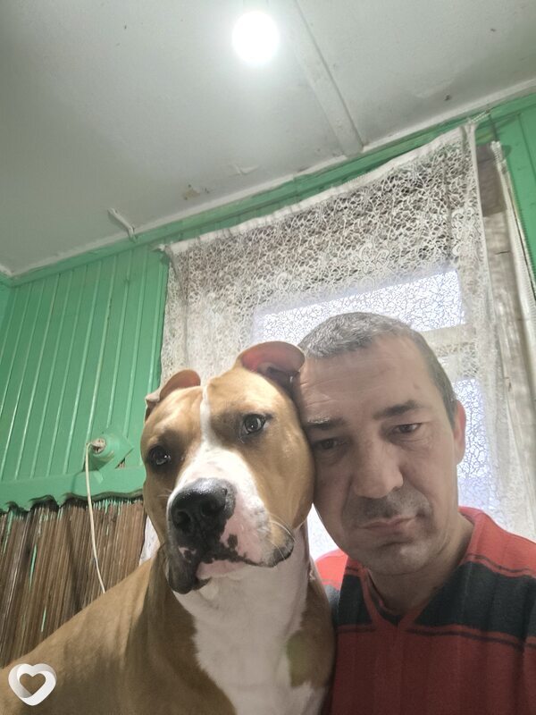 Серега, 37, Челябинске — анкета №418135