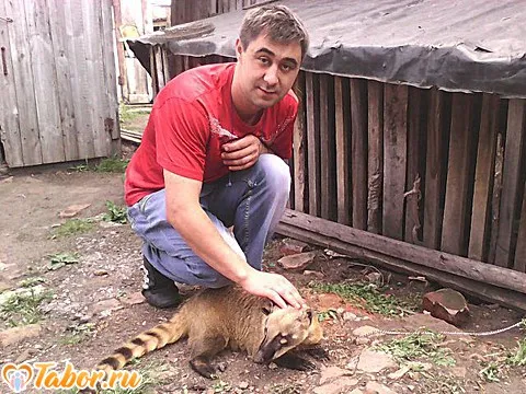 Dima, 37, Шумихе — анкета №8719