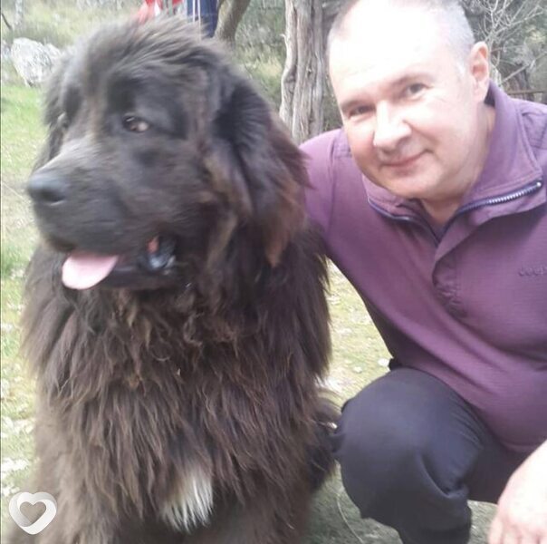 Александр, 54, Находке — анкета №420988