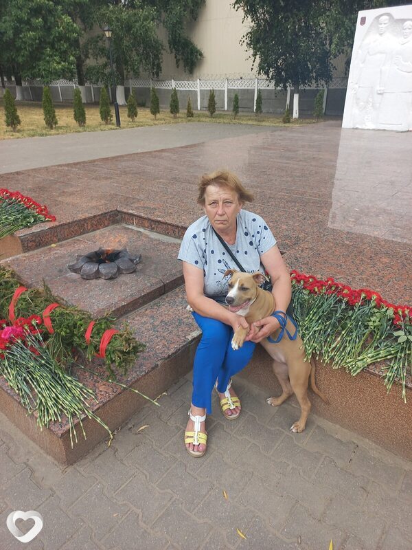 Елена, Крупки