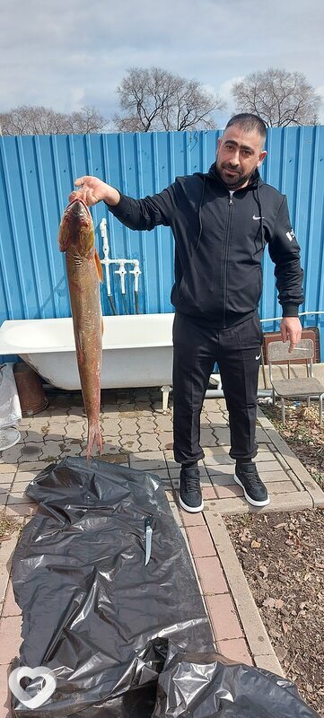 Артём, 40, Благовещенске — анкета №426425