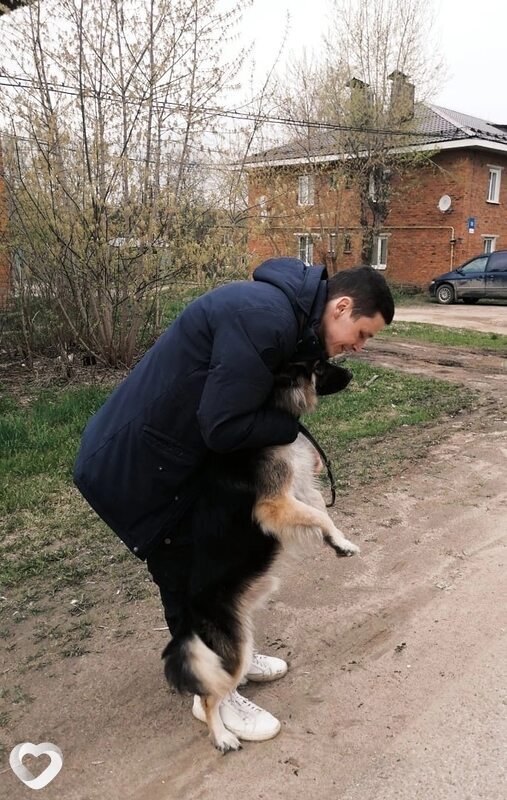 Иван, 33, Вологде — анкета №428886