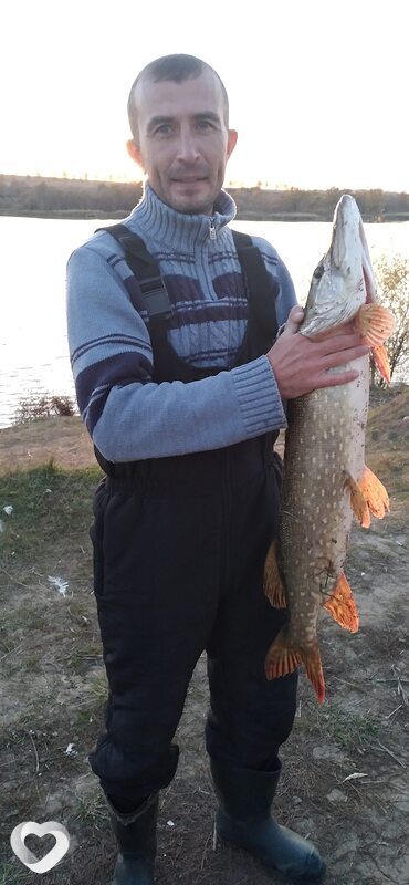 Сергей, 46, Курске — анкета №429016
