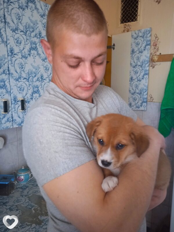 Павел, 31, Минске — анкета №431362
