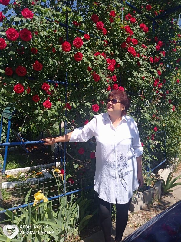 Галина, 62, Краснодаре — анкета №433774