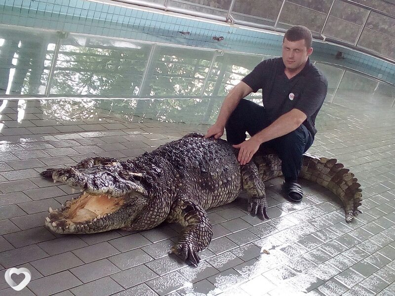 Егор, 39, Санкт-Петербурге — анкета №436946
