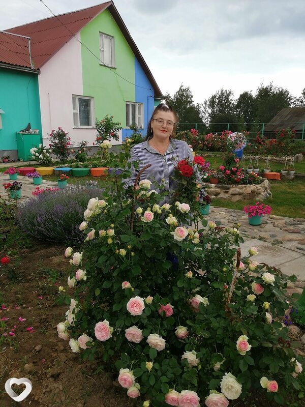 Галина, Климовичи