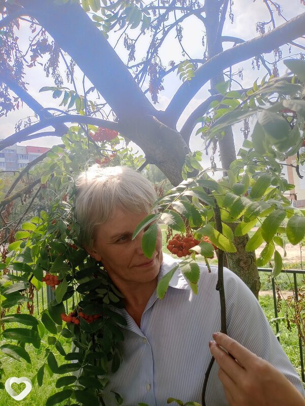 Галина, 54, Витебске — анкета №441171