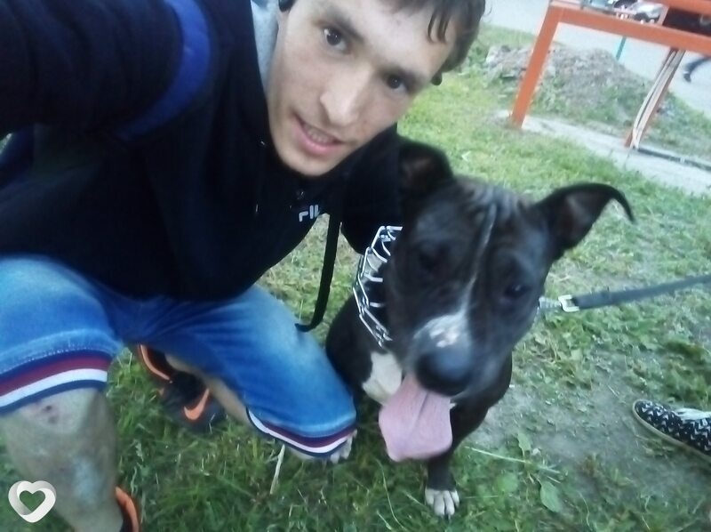 Толя, 29, Ижевске — анкета №442104