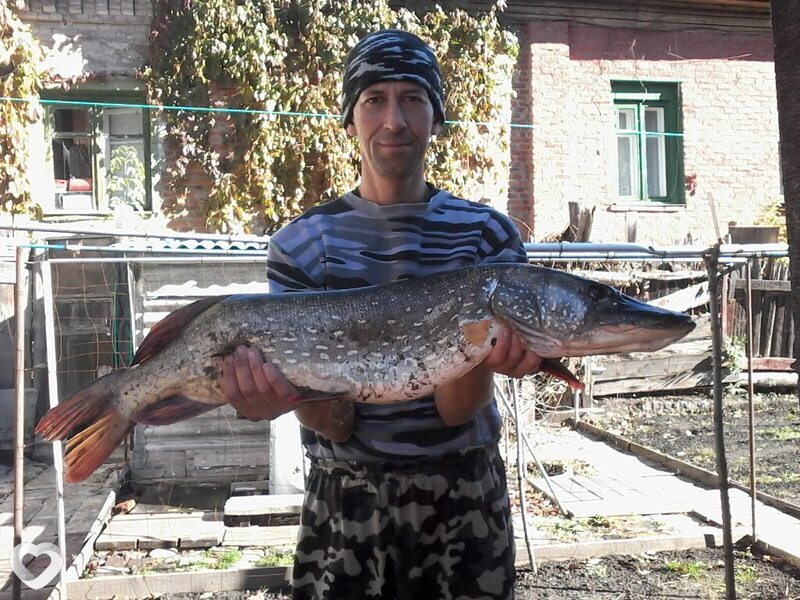 Слава Крымов, 55, Балашове — анкета №442209