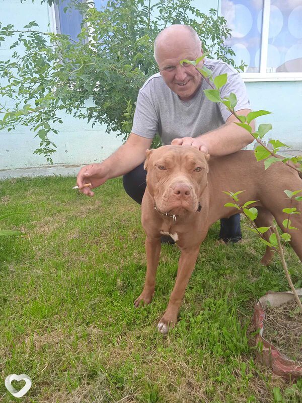 Виталий, 51, Минске — анкета №447245