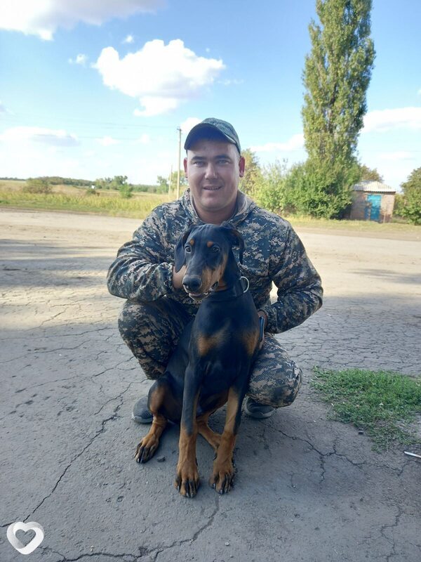 Иван, 36, Ростове-на-Дону — анкета №447397
