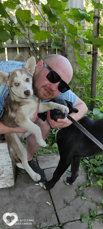 Максим, 36, Рязани — анкета №454570