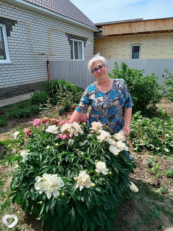 Светлана, 69, Барнауле — анкета №463185