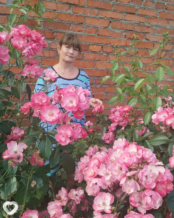 Светлана, 59, Дмитрове — анкета №465777