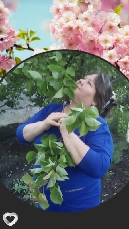 Светлана, Севастополь