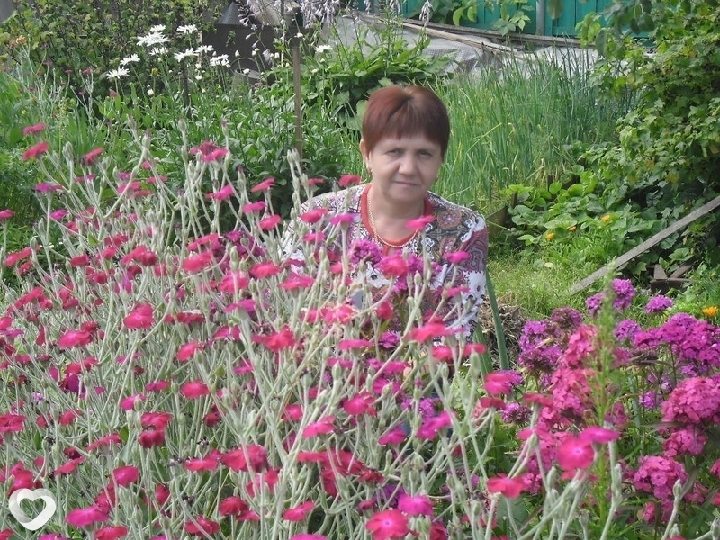Оля, 62, Великих Луках — анкета №467184