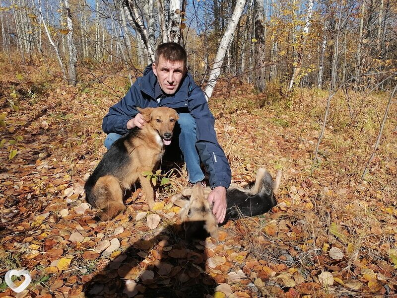 Андрей, 46, Братске — анкета №467680